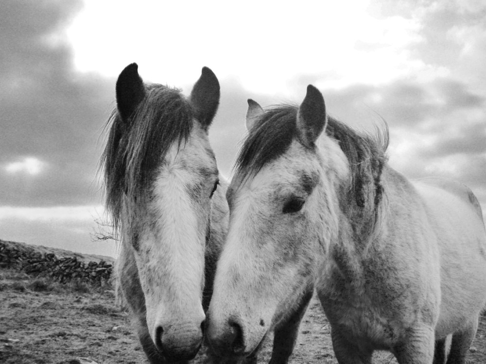 1st of April 2013 025