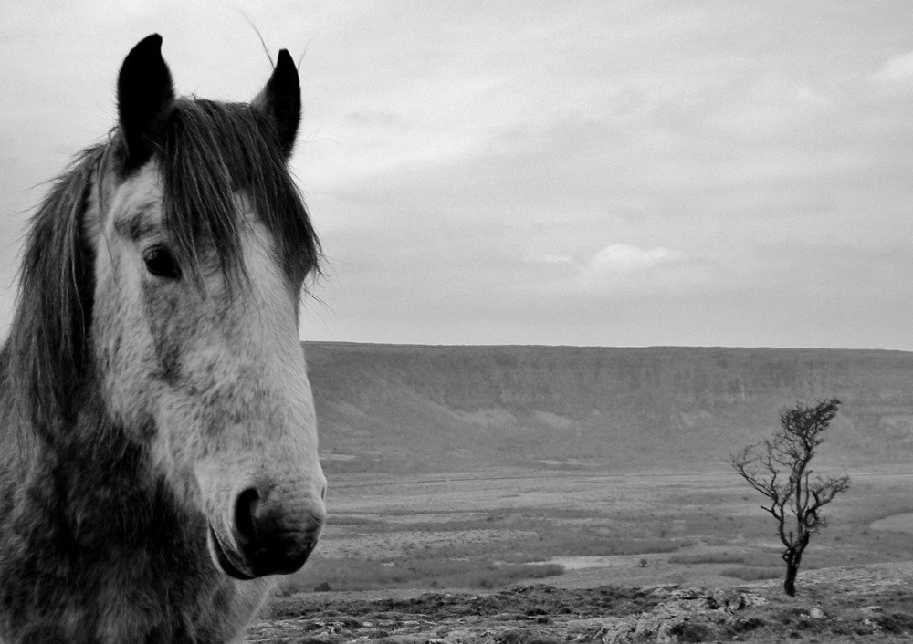 1st of April 2013 034