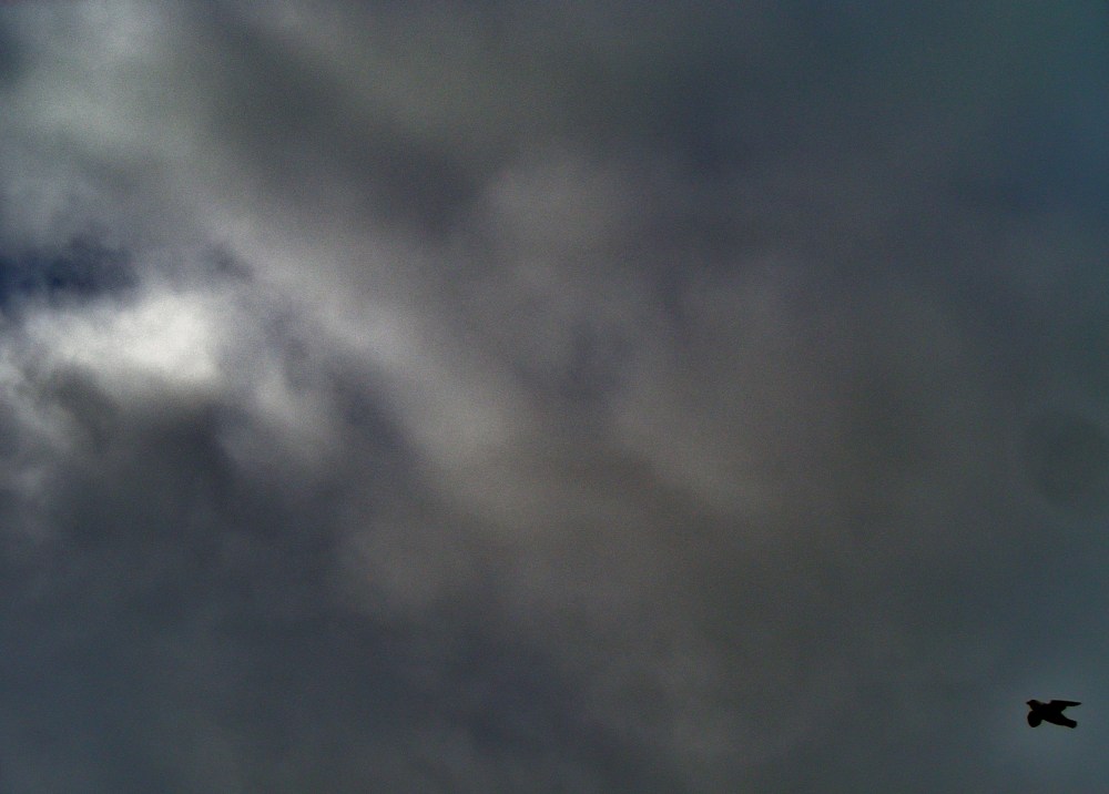 7th of April 2013 120