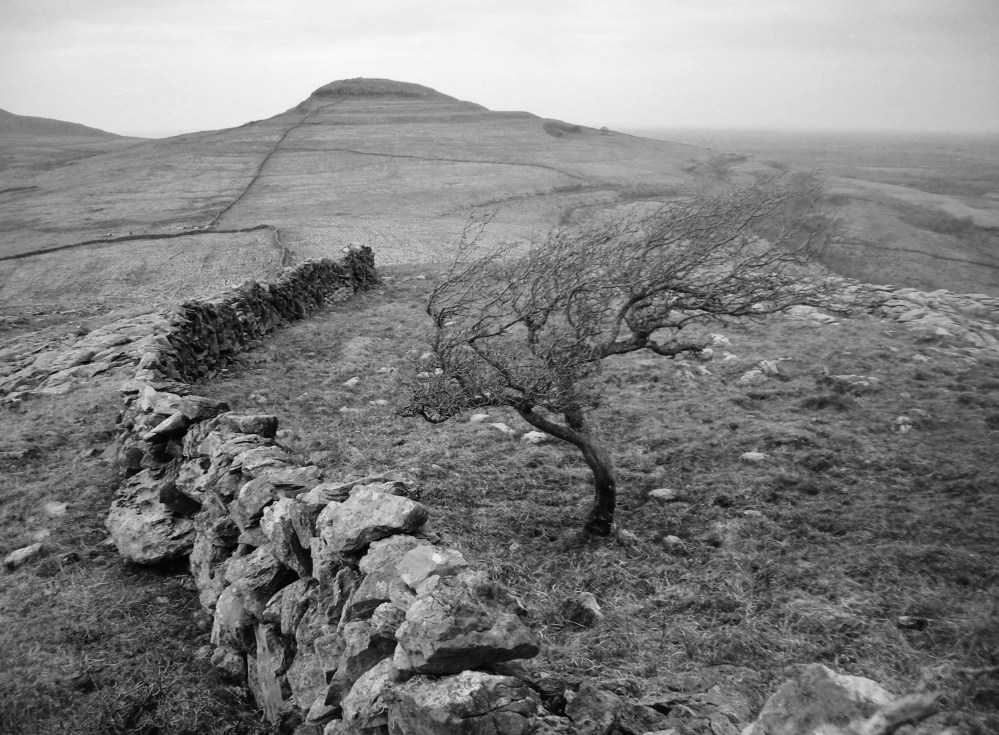 1st of April 2013 111