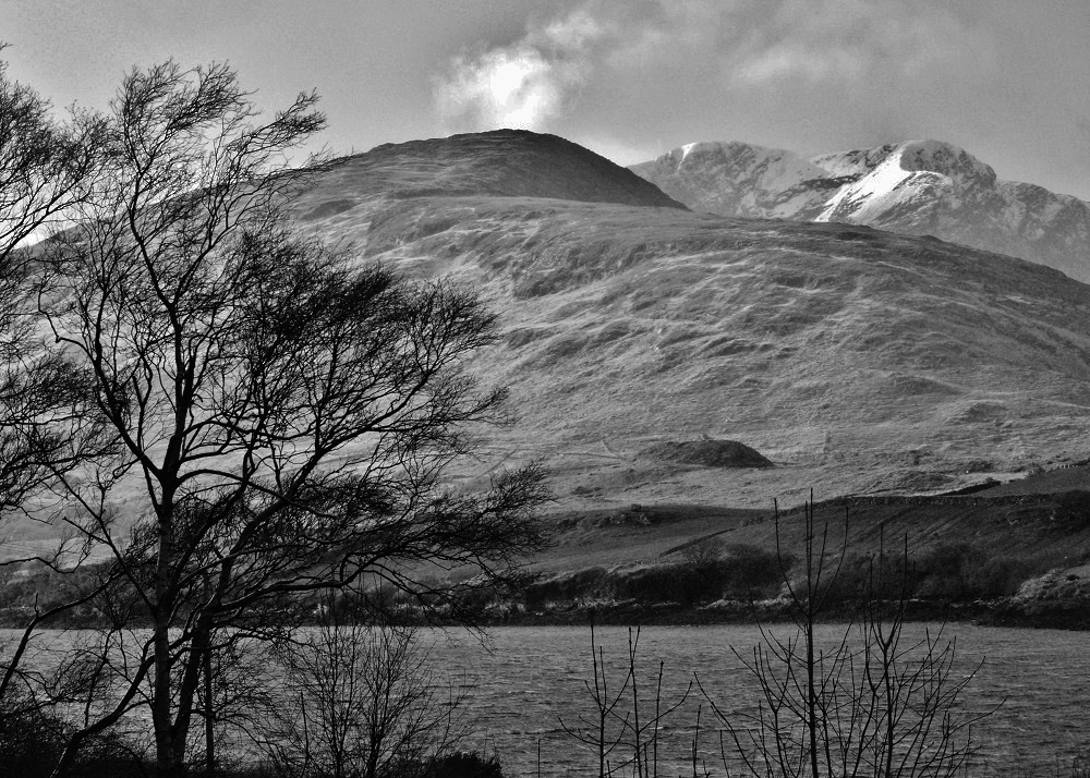 Connemara B&W