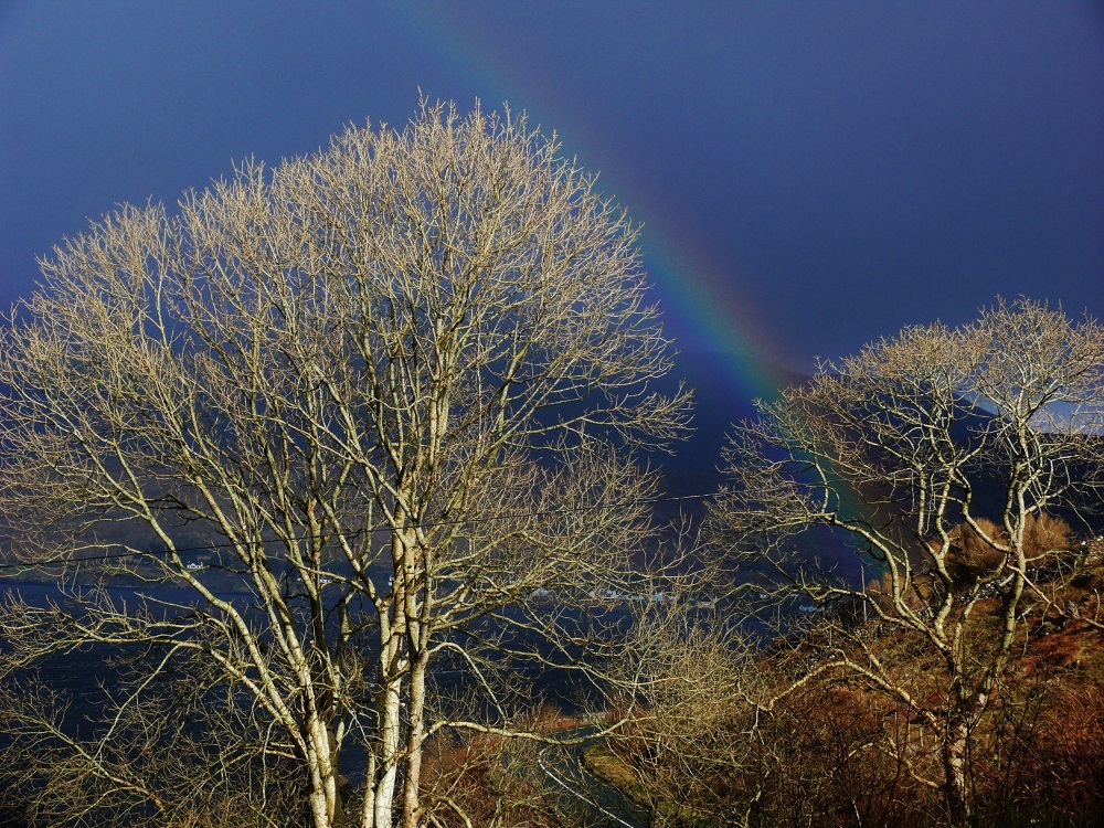 Connemara Rainbow I