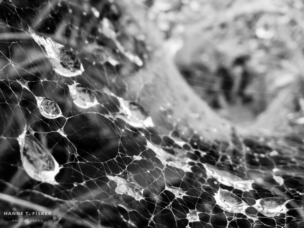 'The Alchemy Of Vulnerability' #1