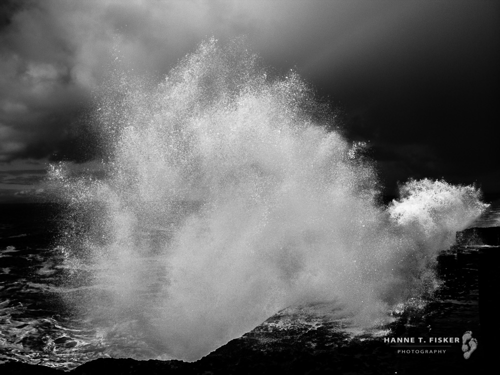 'Follow The White Rabbit'