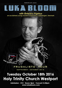 poster_luka_bloom_westport_small