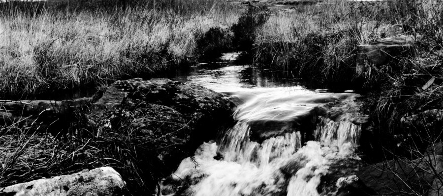 'Before It Started And Ended'