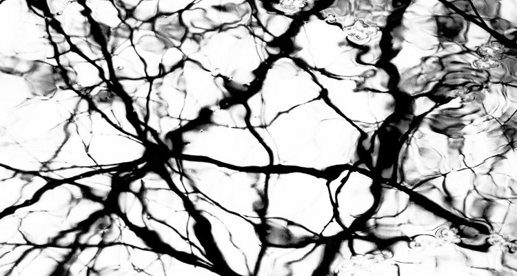 'Obscure Reality' #1