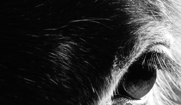 'Seeing Deeper Than The Eye'