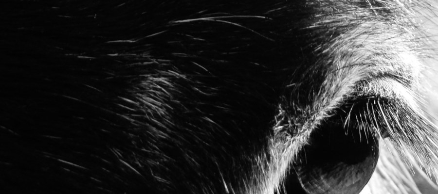 'Seeing Deeper Than The Eye'