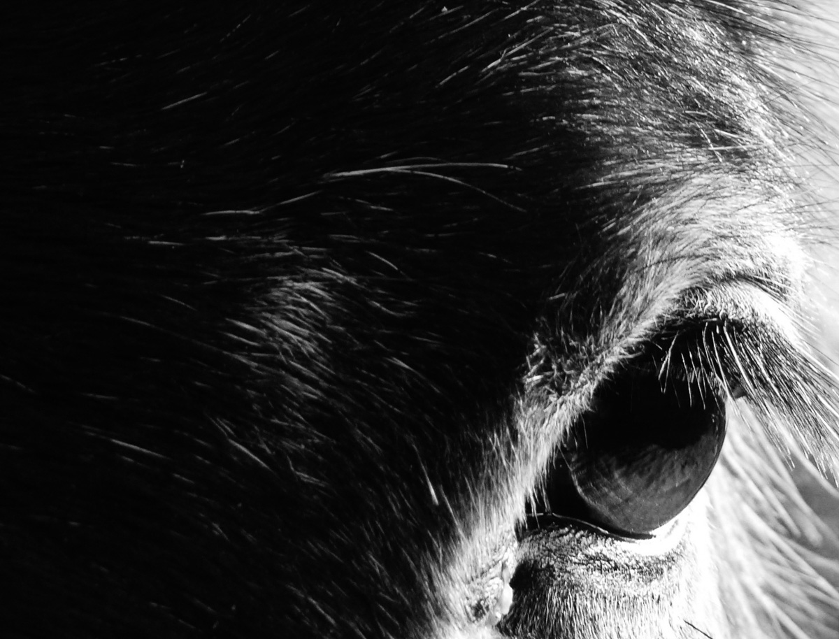 'Seeing Deeper Than The Eye'