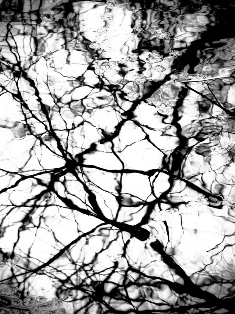 'Obscure Reality' #1