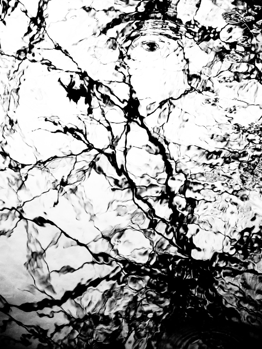 'Obscure Reality' #2