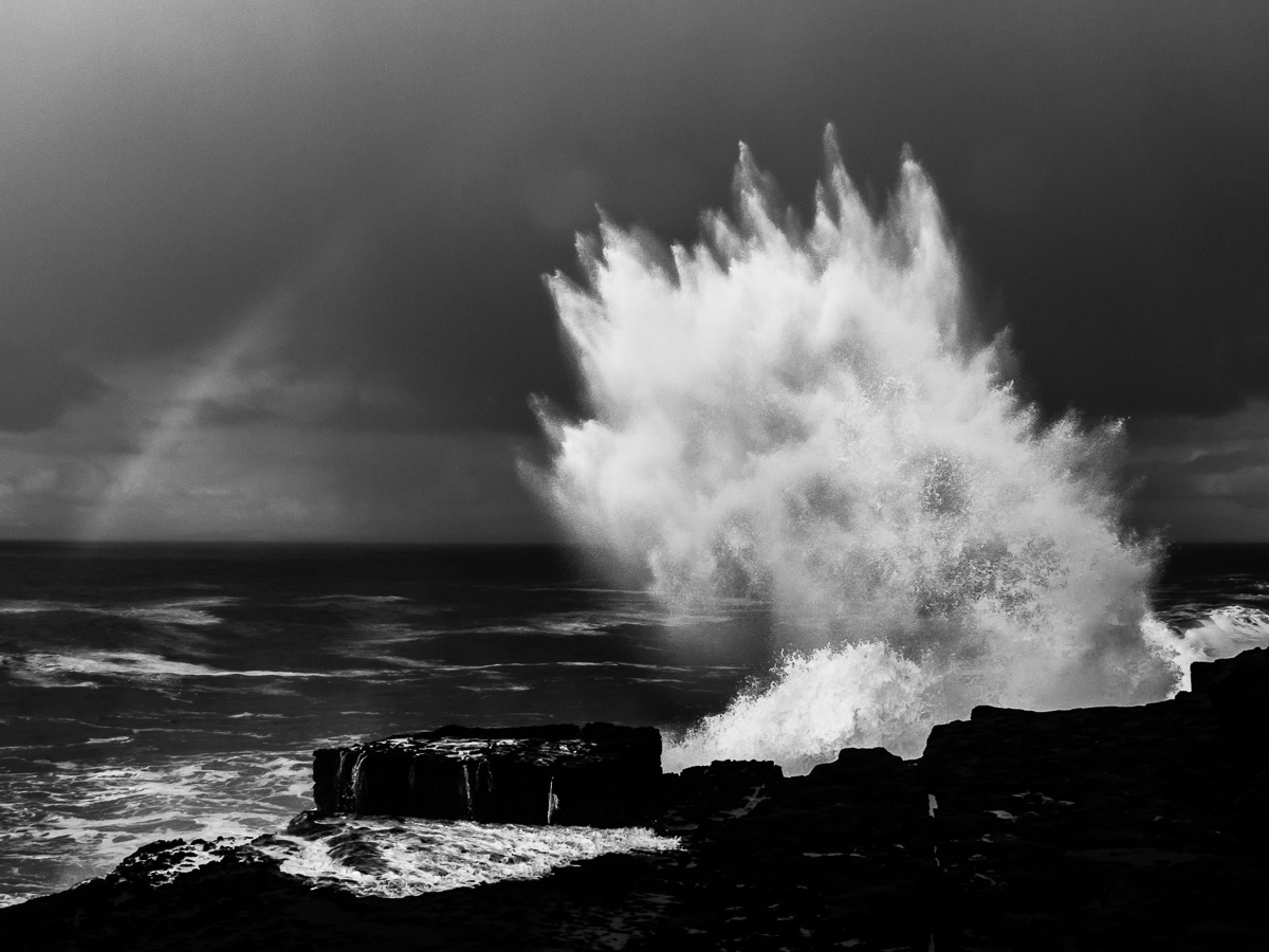 'Dreamer And Warrior'