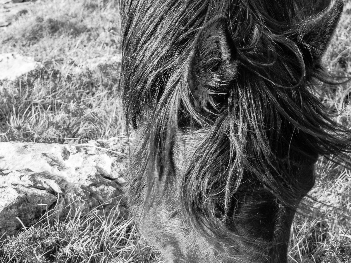 'I'll Just Do My Thing'