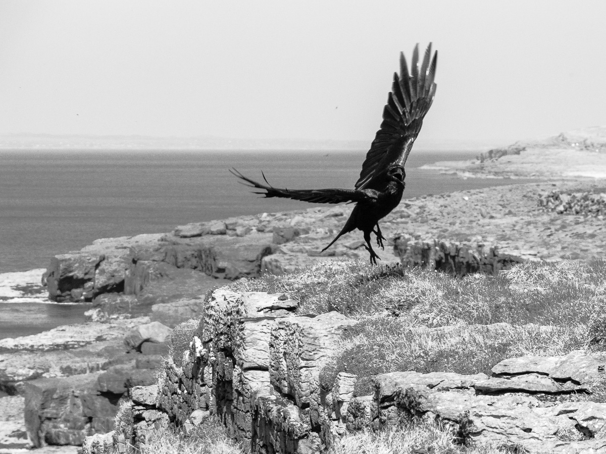 'Life Is A Majestic Balancing Act'