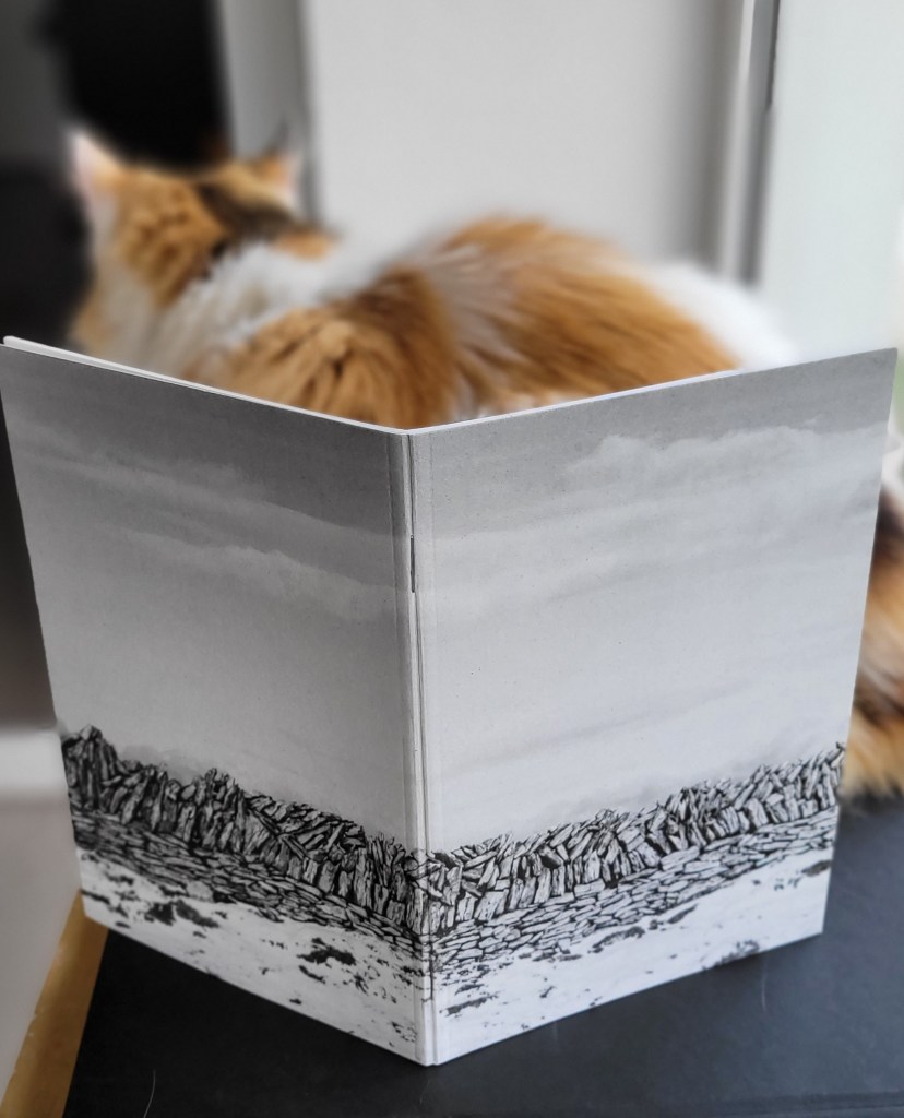 Stonewall in the Burren, Co. Clare, Ireland.