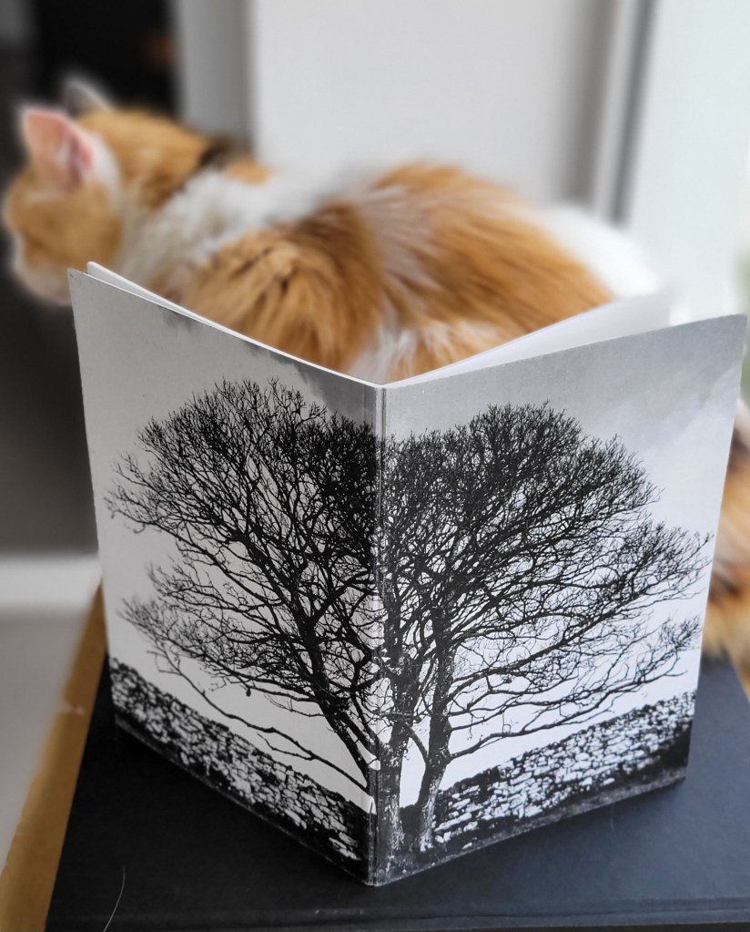 "Yggdrasil"
Kilfenora, Co. Clare, Ireland.