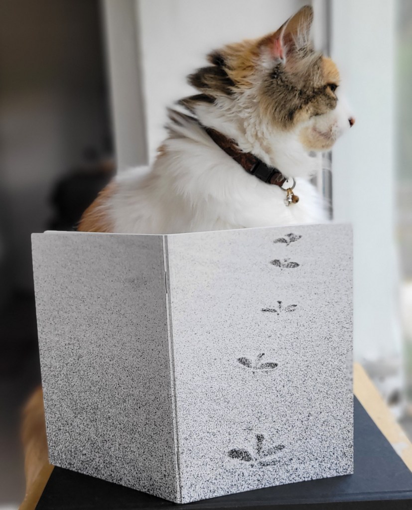 Bird prints in sand.