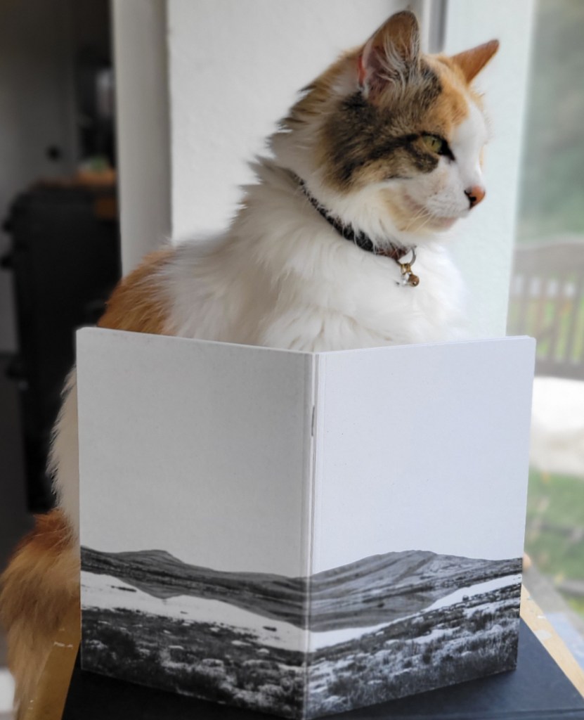 Mullaghmore, The Burren, Co. Clare, Ireland.