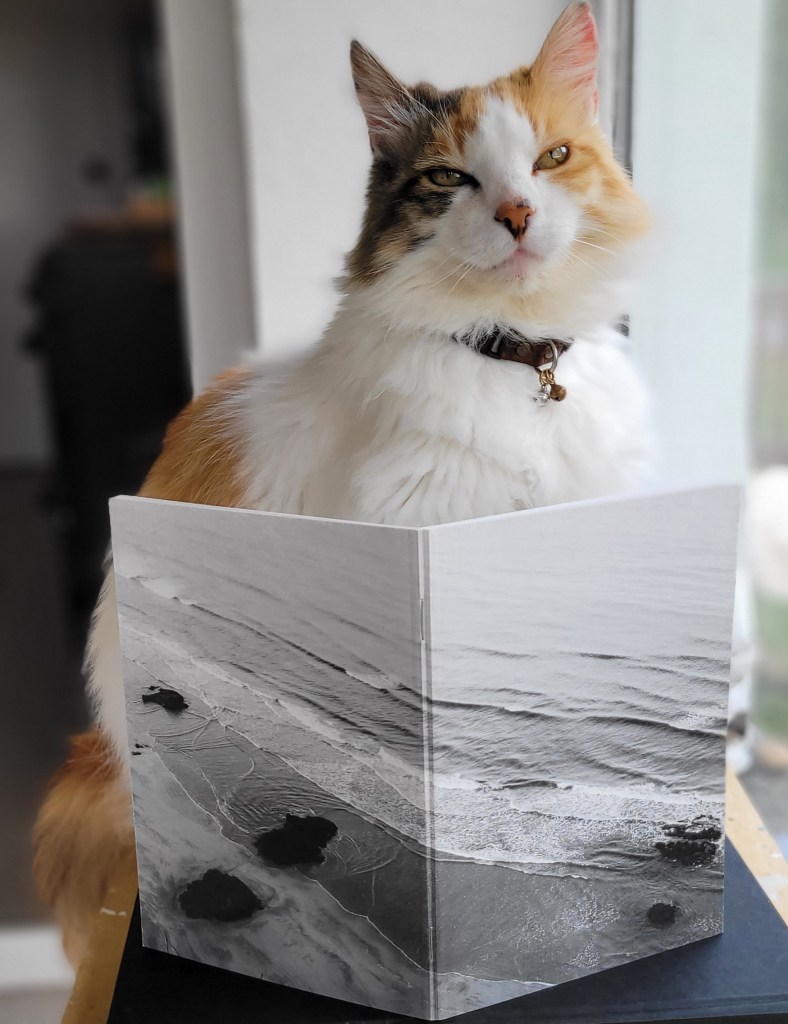 Benone Beach, Northern Ireland.