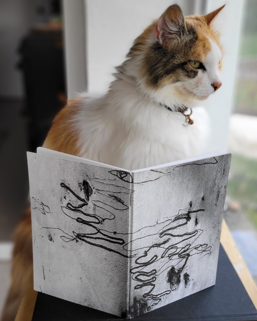 Eucaluptus tree, Australia.