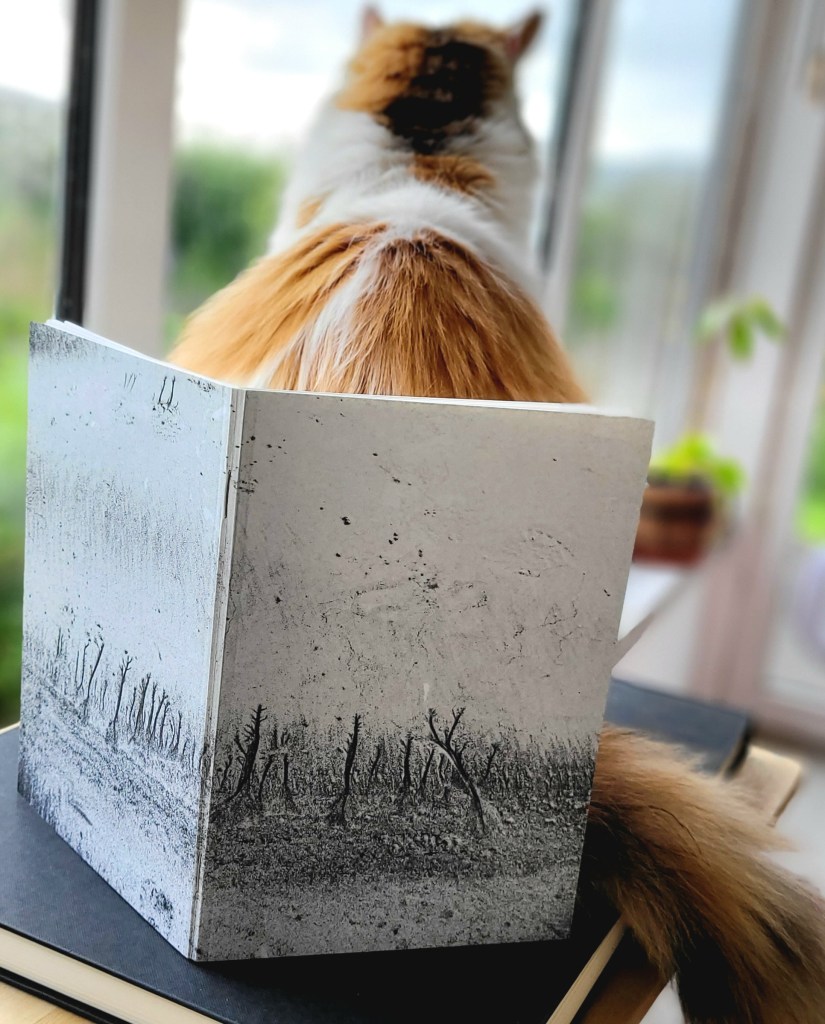 Sandscapes at Benone Beach, Northern Ireland.