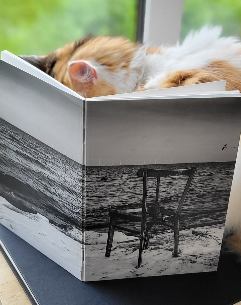 "Waiting" 
Amager Strand, Copenhagen, Denmark.